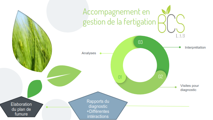 Tout commence par le diagnostic!